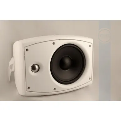 Настенная акустика CVGAUDIO ODF616TW